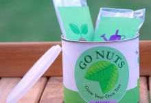 Go Nuts: A Recycle Project