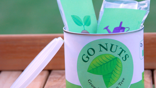 Go Nuts: A Recycle Project