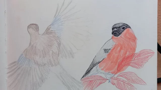 Birdtober