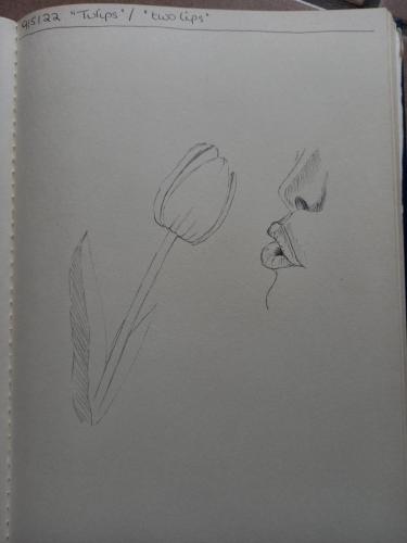 Tulips / Two lips