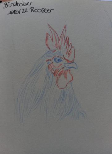 1 Birdtober - Rooster