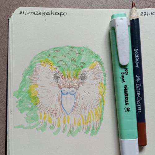 21 Birdtober - Kakapo