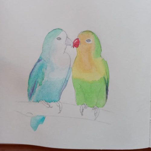 22 Birdtober - lovebirds